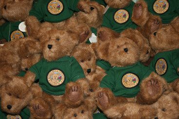 Bunch of teddy bears